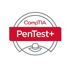 The Official CompTIA PenTest+ Student Guide (PT0-002) eBook