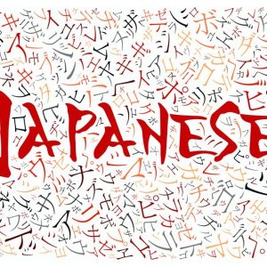 New Full Master Grammar Japanese Language Proficiency Test N2 / Japanese Language