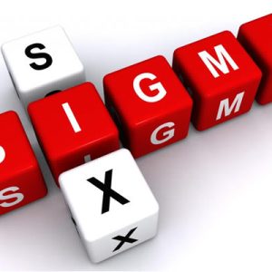 THE GUIDE TO LEAN SIX SIGMA