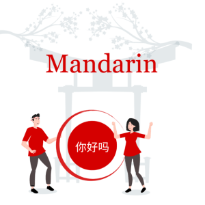 HSK STANDARD COURSE 3 WORKBOOK / Mandarin Language